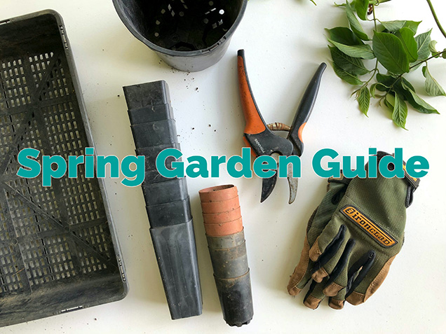 Spring Garden Guide